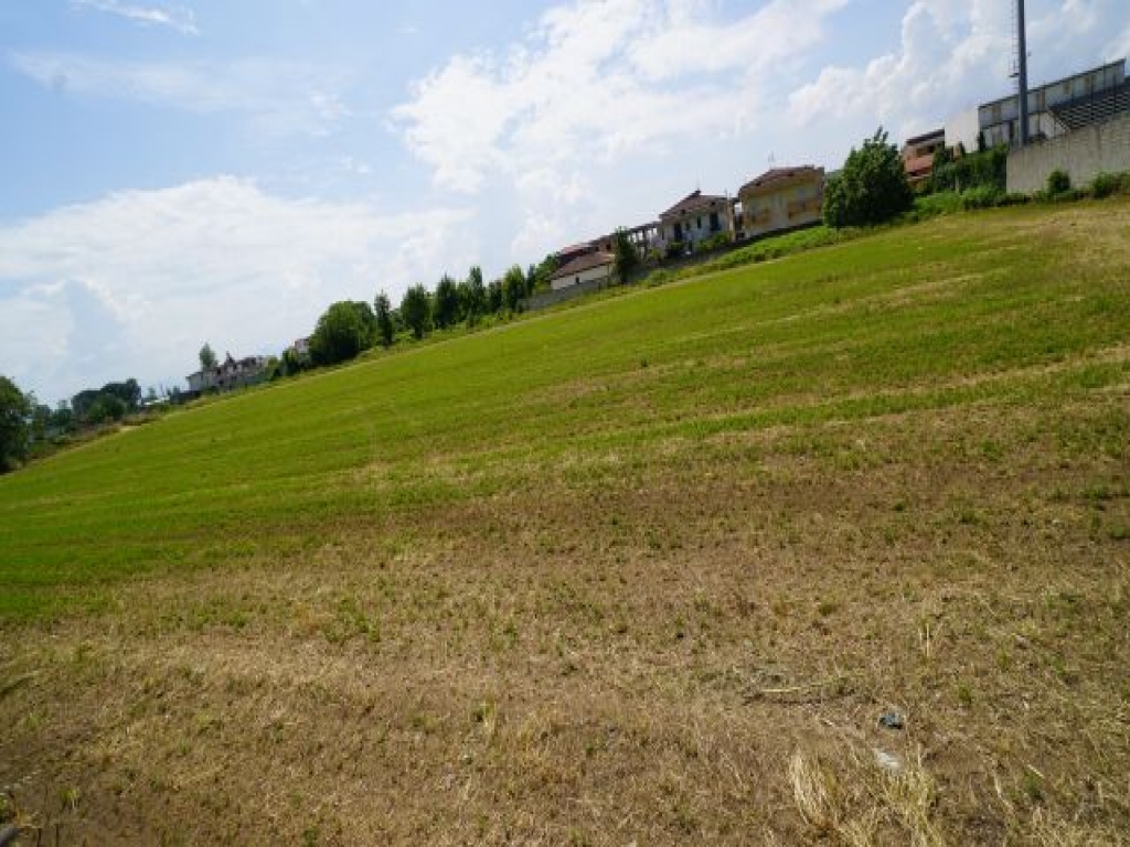 DSC05472.JPG