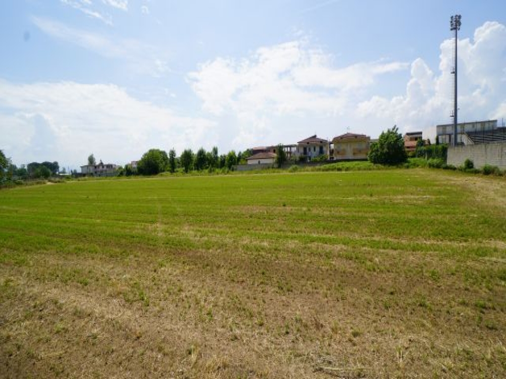 DSC05473.JPG