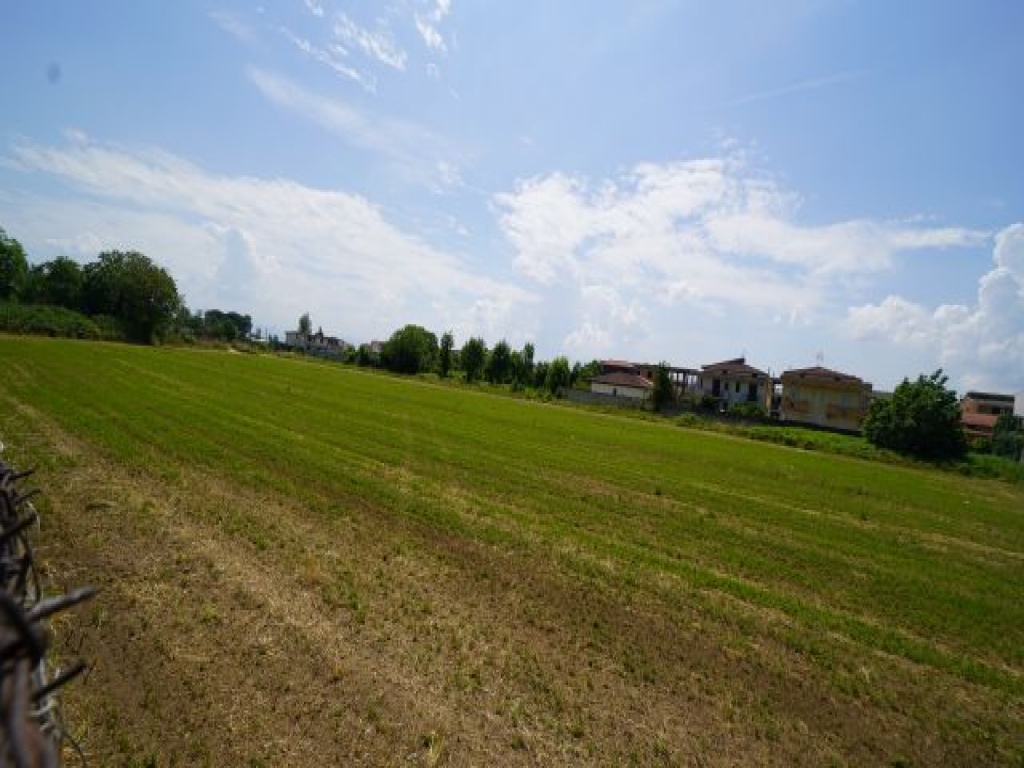 DSC05475.JPG