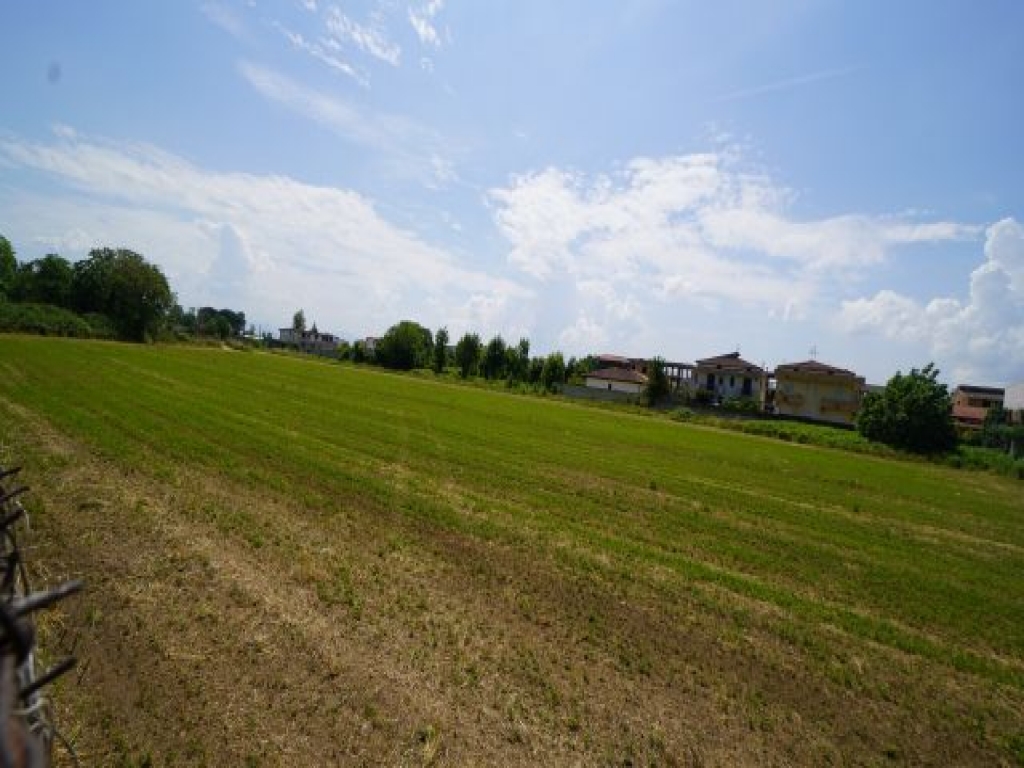 DSC05476.JPG