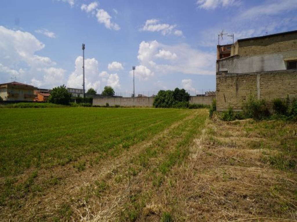 DSC05479.JPG