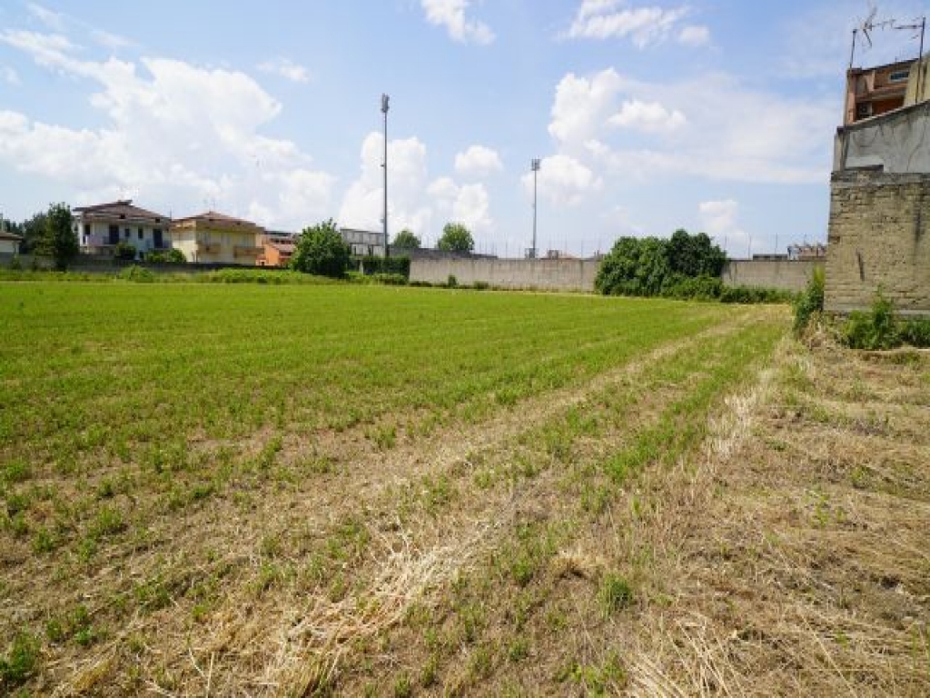 DSC05481.JPG